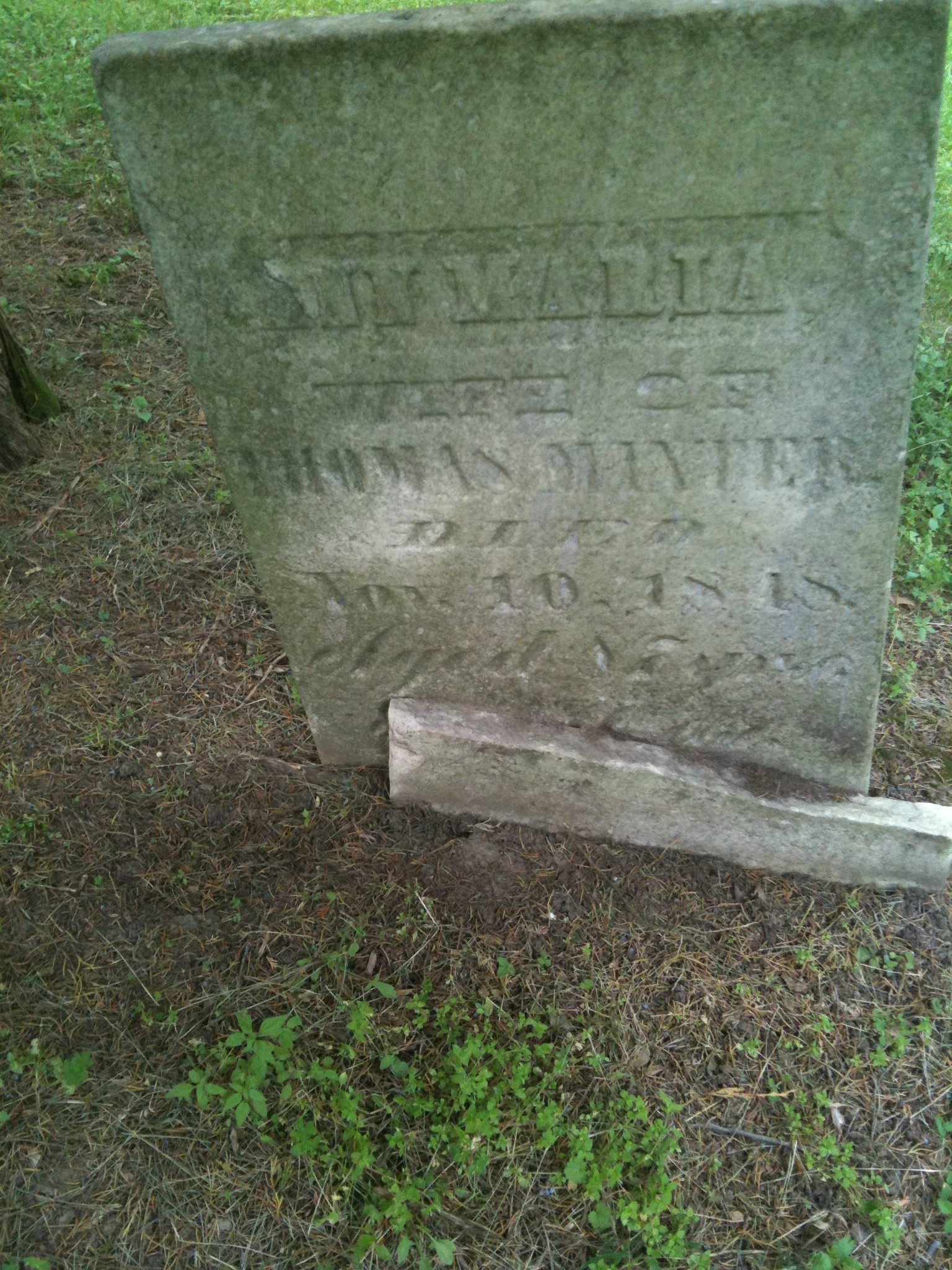 Ann Maria Minter Headstone