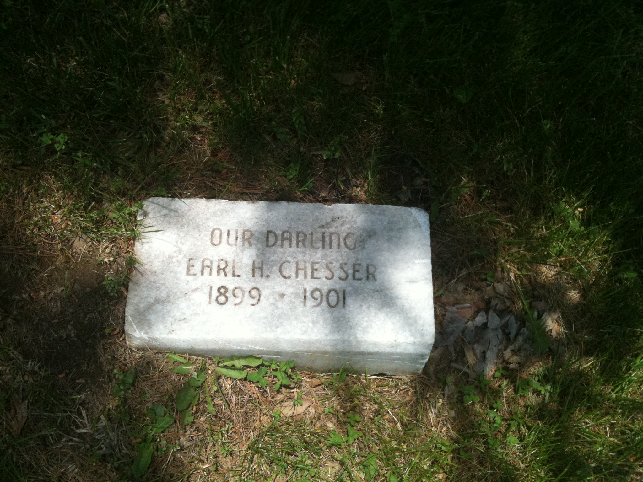 Earl H. Chesser Headstone