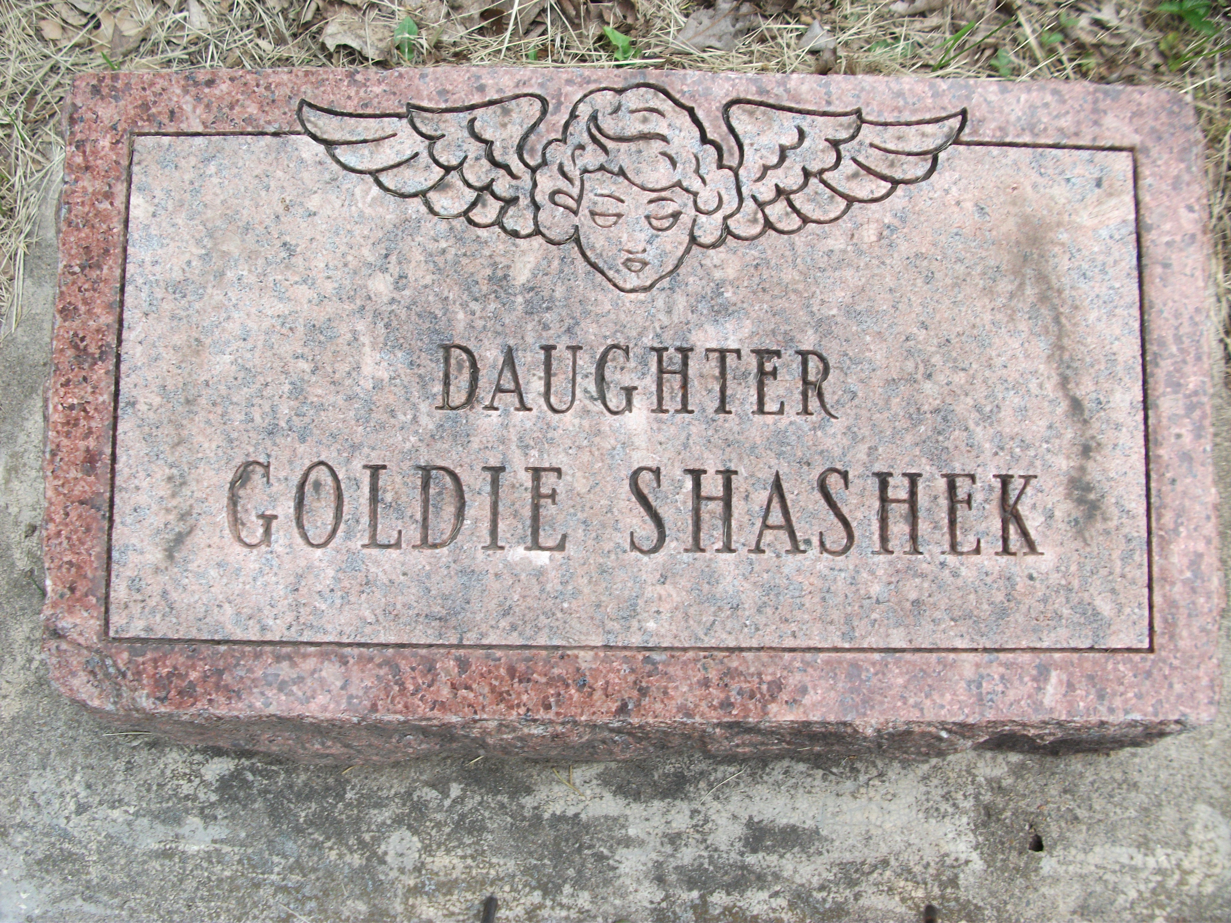 Goldie Shashek Headstone