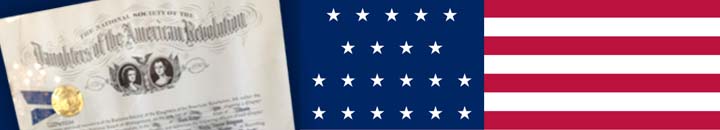 21 Star Flag