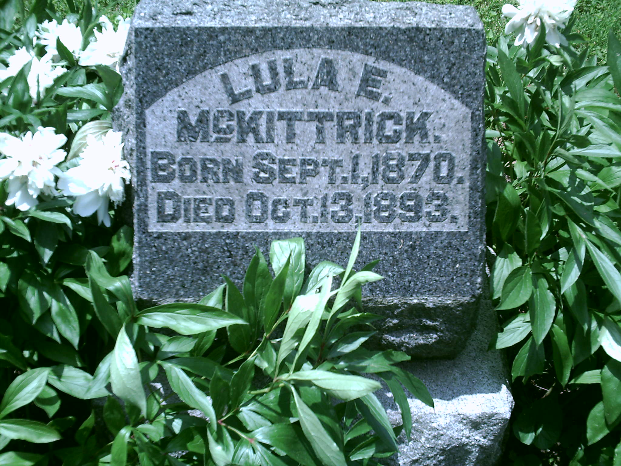 Lula E. McKittrick>
</p>
 
<p align=