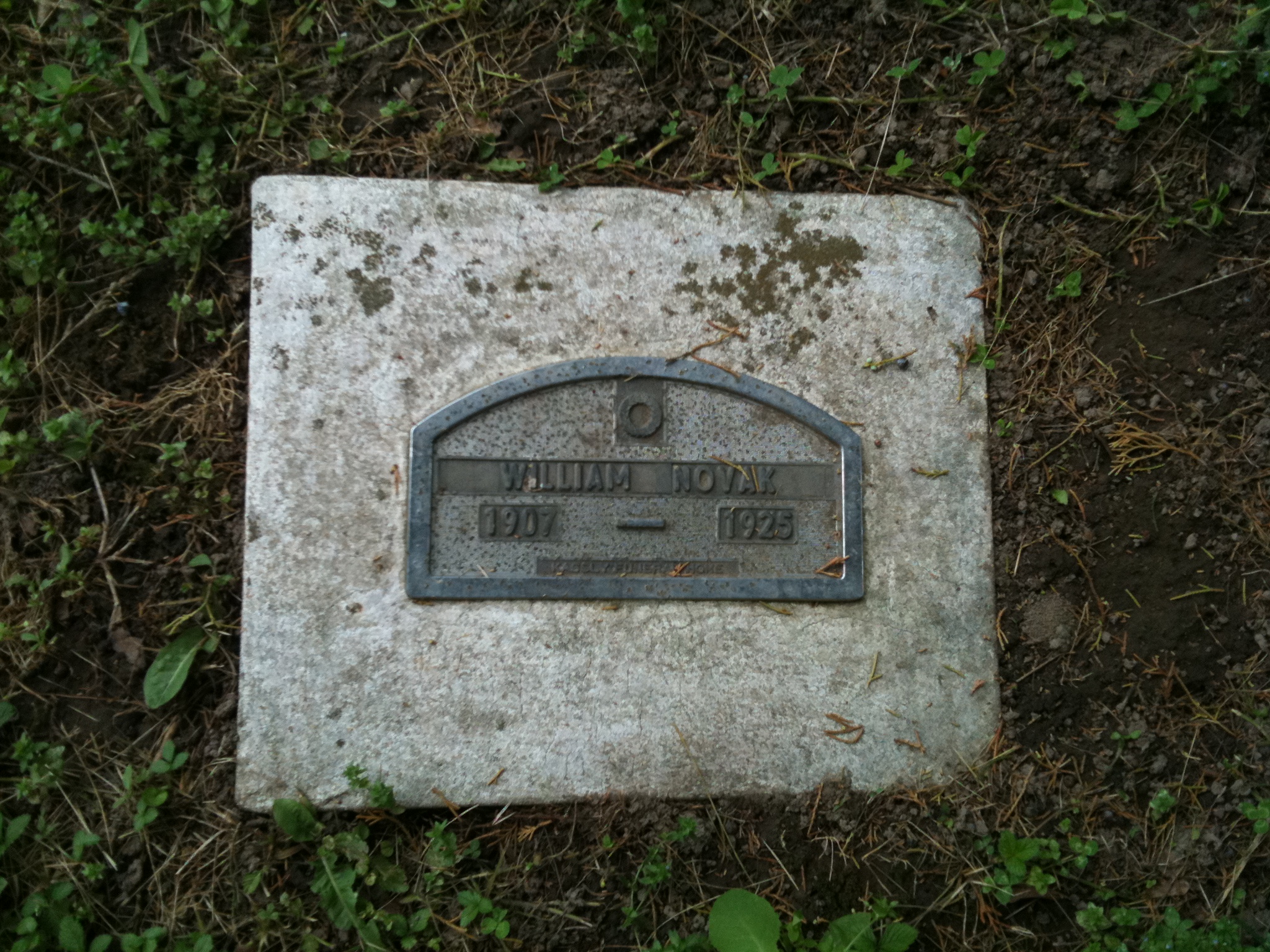 William NovakHeadstone