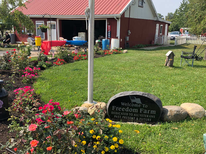 Freedom Farm