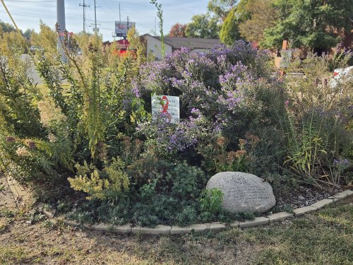 Patriot Garden